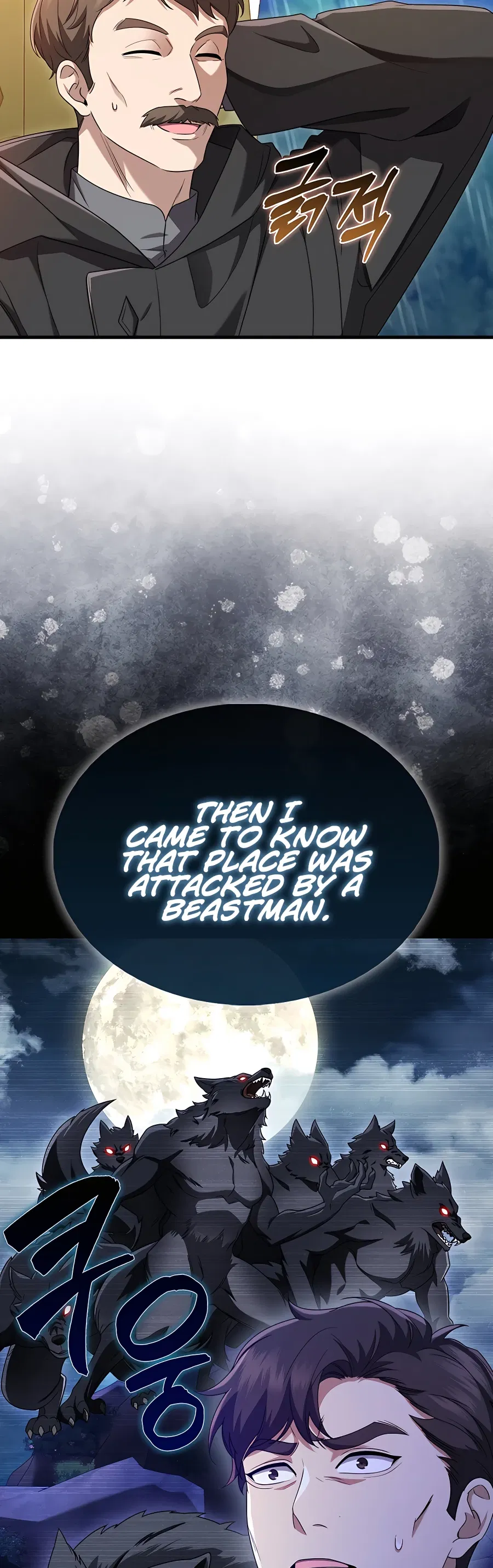 All STR Sorcerer Chapter 0 - Page 15