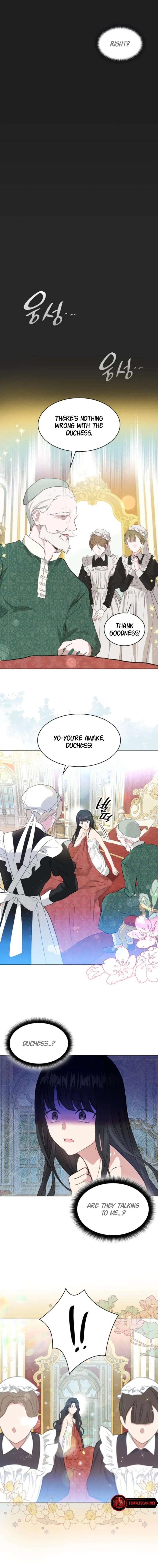 Becoming the Obsessive Male Lead's Ex-Wife Chapter 1 - Page 17