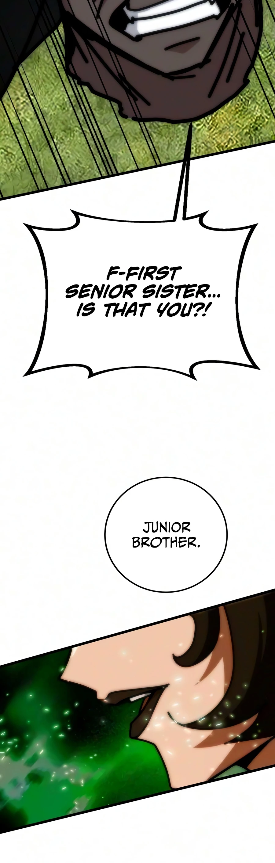 Initializing the Sect System Chapter 46 - Page 24