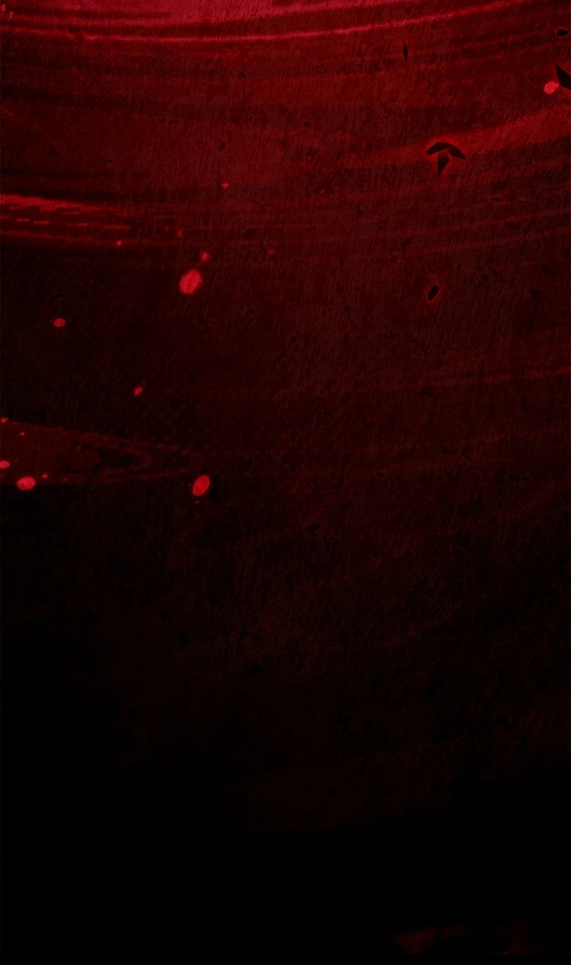 Regressor Instruction Manual Chapter 175 - Page 13