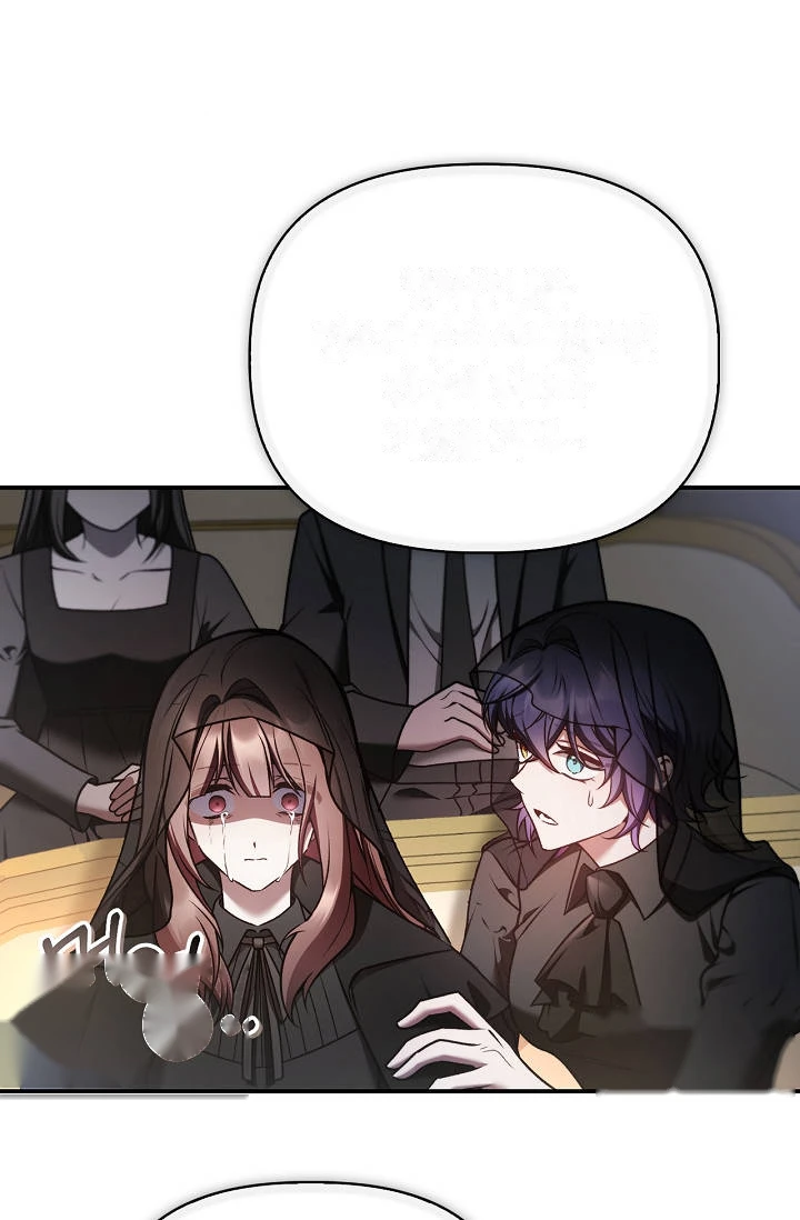 Regressor Instruction Manual Chapter 206 - Page 13