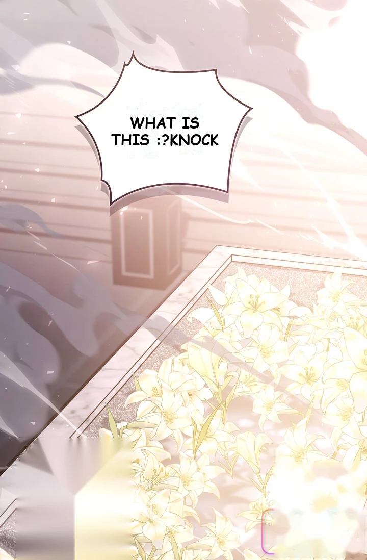 Regressor Instruction Manual Chapter 206 - Page 36