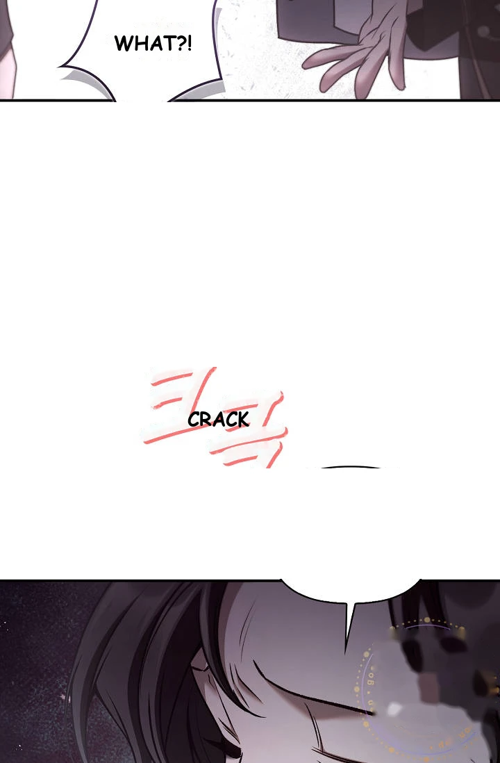 Regressor Instruction Manual Chapter 207 - Page 11