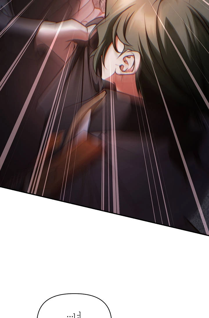 Regressor Instruction Manual Chapter 207 - Page 14
