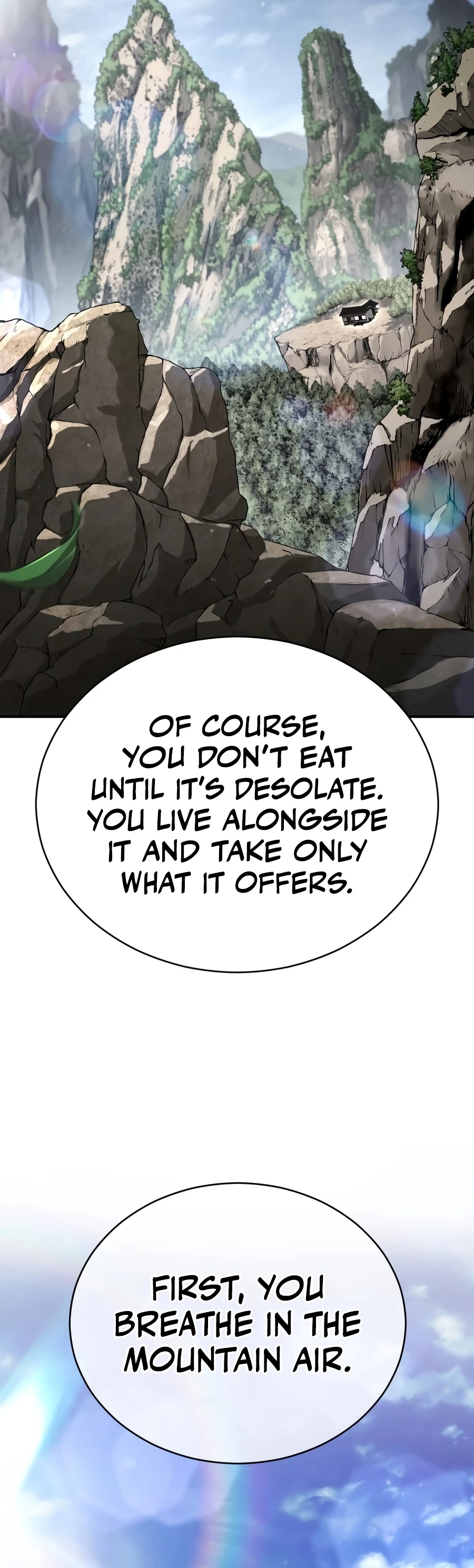Reincarnation of the Fist King Chapter 63 - Page 14