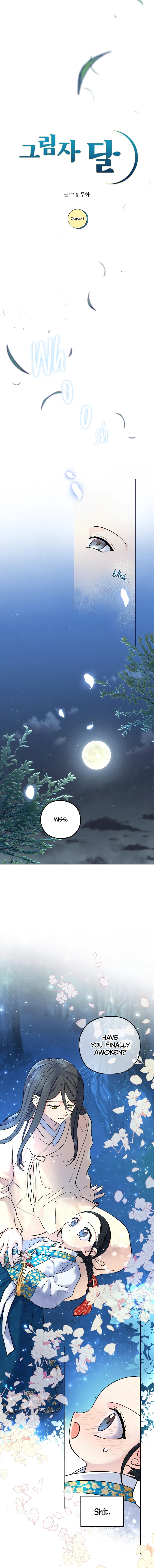 Shadow Moon Chapter 1 - Page 4