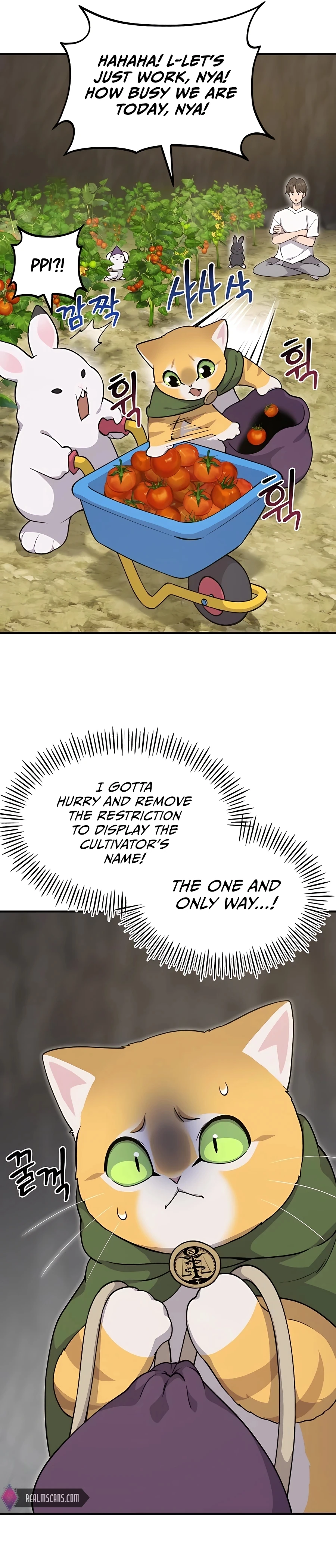 Solo Farming In The Tower Chapter 13 - Page 43
