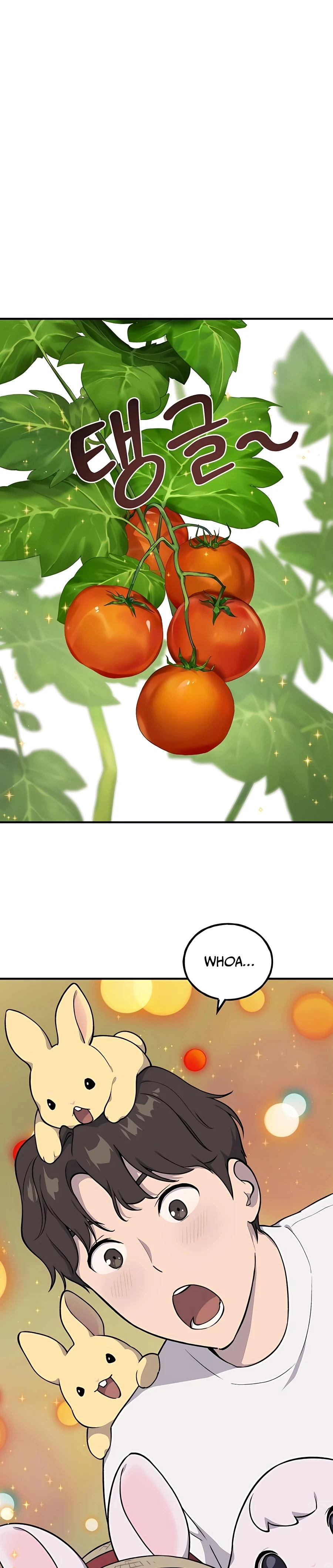 Solo Farming In The Tower Chapter 6 - Page 17