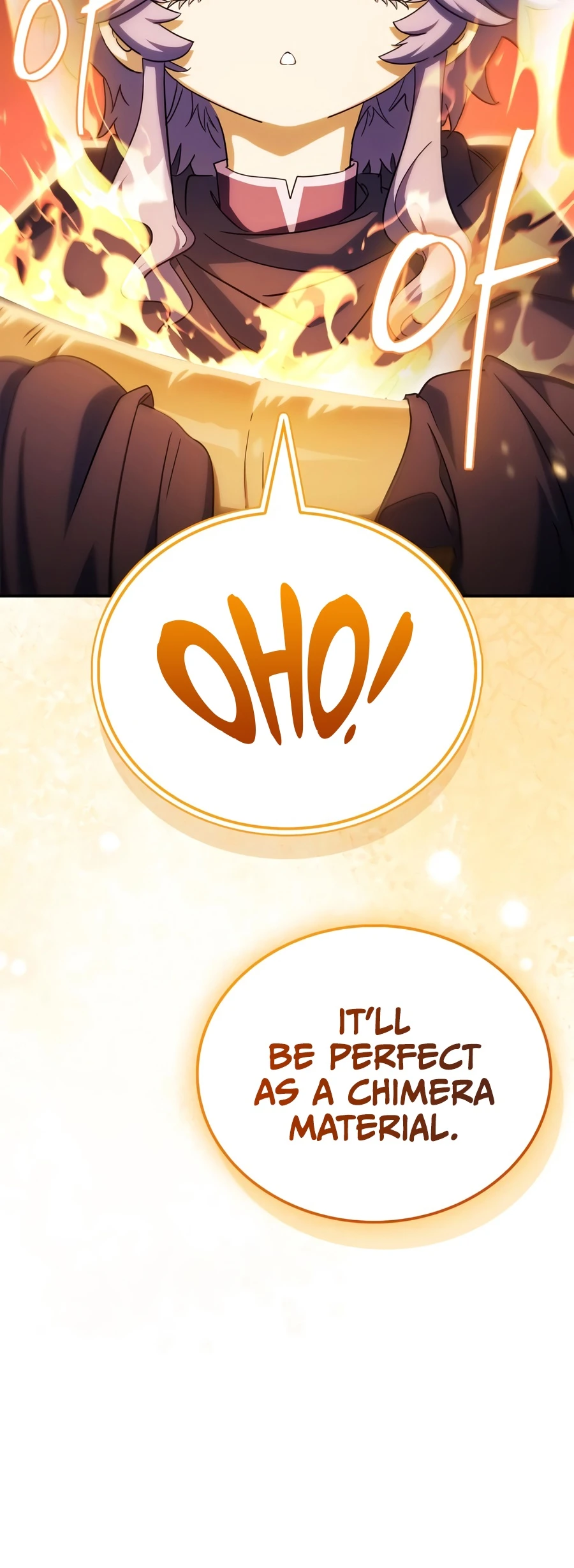 The Demon King Overrun by Heroes Chapter 33 - Page 10