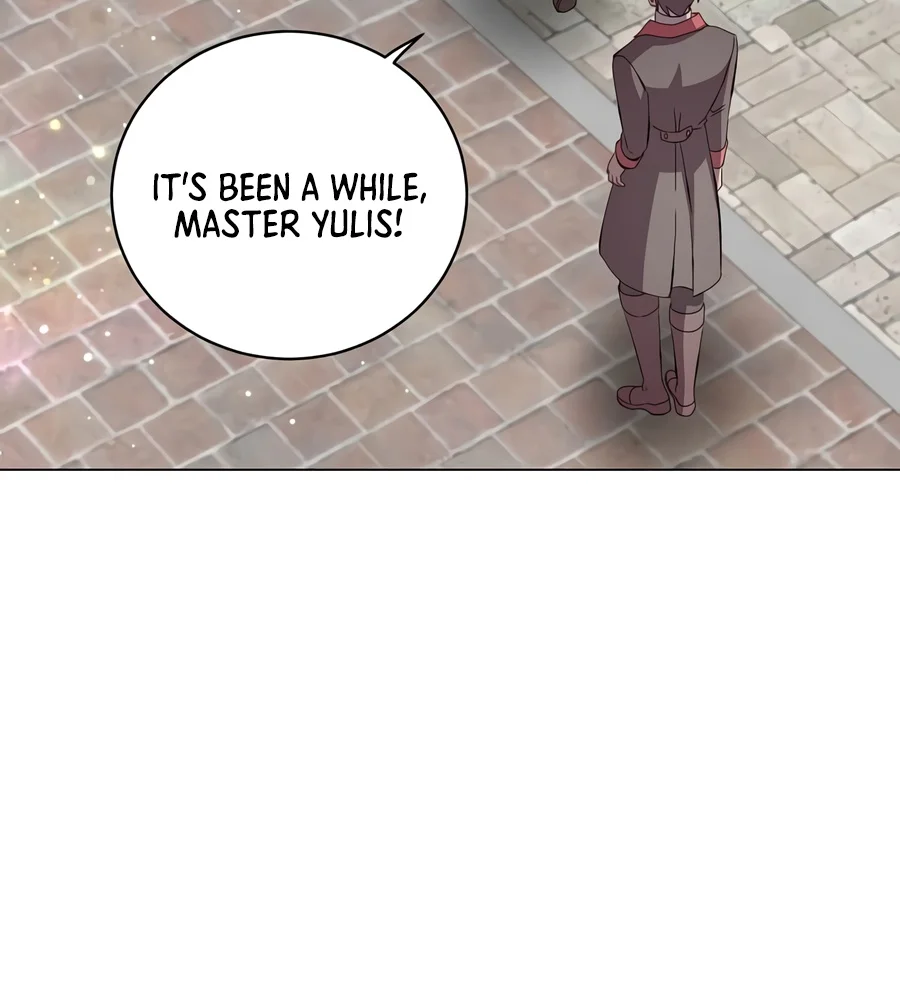 The Max Level Hero has Returned! Chapter 247 - Page 8