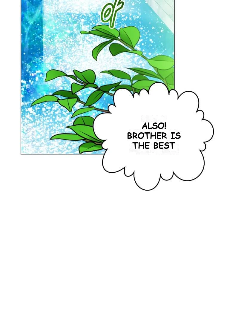 The Max Level Hero has Returned! Chapter 249 - Page 34